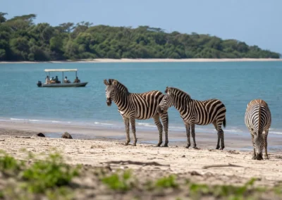 Saadani Day Trip